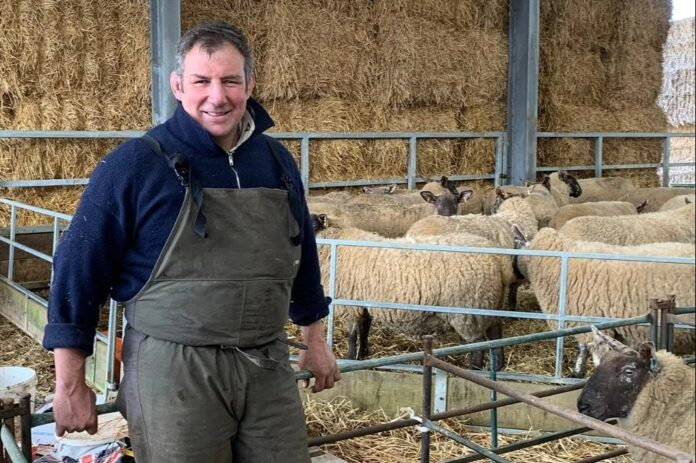 I was an England Rugby World Cup winner – now I’m a full-time farmer who has suffered huge setbacks