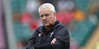 Gatland: Wales are write-offs