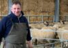 'I won the Rugby World Cup with England - now I farm with 600 sheep' | Rugby | Sport