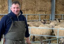 'I won the Rugby World Cup with England - now I farm with 600 sheep' | Rugby | Sport