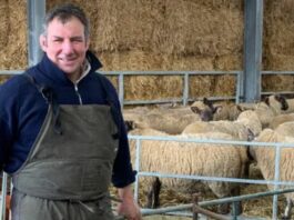 'I won the Rugby World Cup with England - now I farm with 600 sheep' | Rugby | Sport