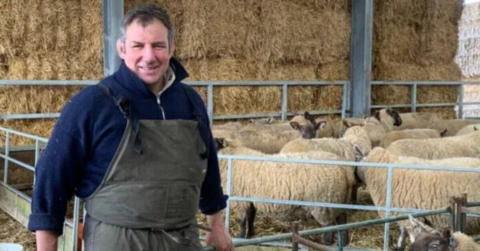 'I won the Rugby World Cup with England - now I farm with 600 sheep' | Rugby | Sport