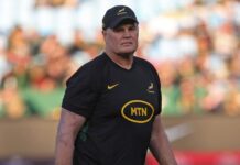 Life after Rassie looks bright for Springboks