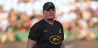 Life after Rassie looks bright for Springboks