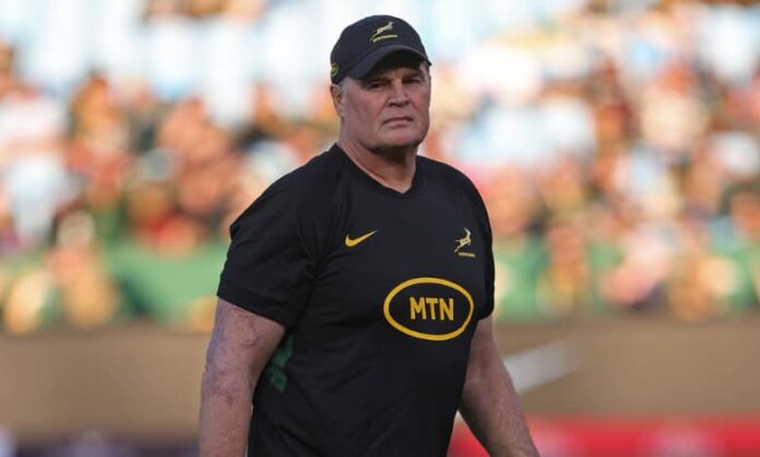 Life after Rassie looks bright for Springboks