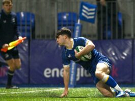 Offaly man named on Irish U20 rugby squad for Six Nations