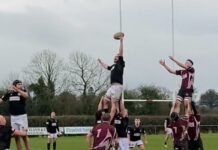 Rugby: Longford run in six tries as they continue Leinster League winning streak away to Roscrea RFC