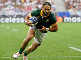 Springboks: Stormers sign Cobus Reinach as he returns to South Africa : Planet Rugby