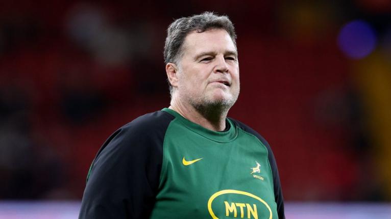 Rassie Erasmus Springboks