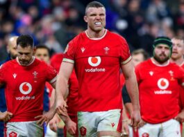 My horror at supporting Wales – we are so pathetic I have given up on them
