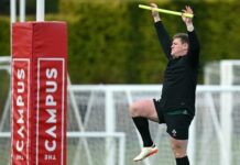 Ireland boost as Tadhg Furlong, Joe McCarthy and Mack Hansen poised for comeback against Wales