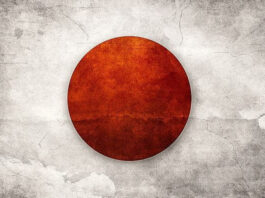 Beauden Barrett & Super Rugby - turning Japanese.