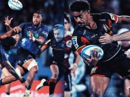 Blues and Chiefs to have grand final rematch