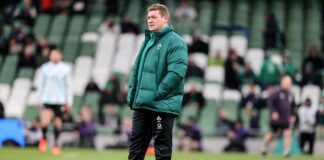 Leo Cullen hopeful Tadhg Furlong will feature at some stage of Six Nations