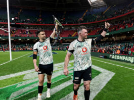 Paul O'Connell knows Ireland will feel the loss of departing trio