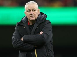 Six Nations: Who could replace Warren Gatland as Wales head coach?