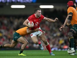 The Straits Times logo