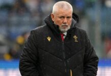 Wales rocked by another departure as Warren Gatland followed out the door | Rugby | Sport