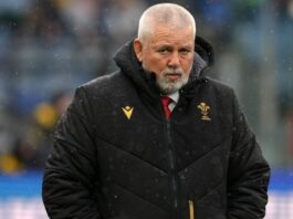 Wales rocked by another departure as Warren Gatland followed out the door | Rugby | Sport