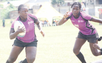 Why have Avengers rugby club failed to be as dominant?