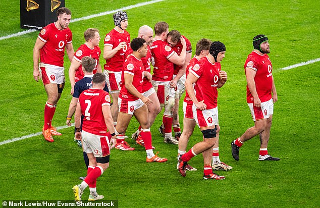 Wales may have lost again — against Ireland — in the last round of Six Nations matches but it was a much-improved performance which hints they may soon turn the corner with results