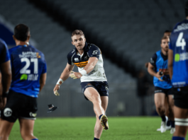 Bumbling Blues fall to brave Brumbies in Eden Park upset