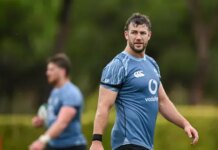 Irish captain could be fit to face France in Six Nations showdown